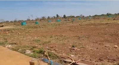 /international/kh/ampil-kampong-siem-kampong-cham-360107114557/