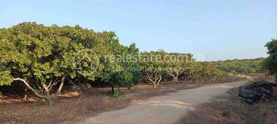 /international/kh/samraong-samraong-oddar-meanchey-360107126419/