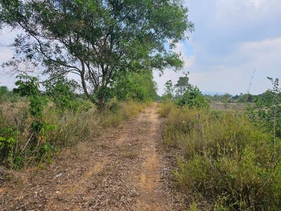 /international/kh/traeng-trayueng-phnum-sruoch-kampong-speu-360107127762/