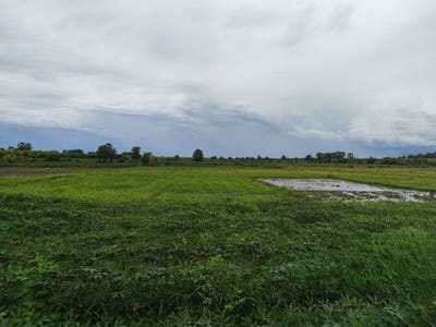/international/kh/ta-prok-chamkar-leu-kampong-cham-360107112663/