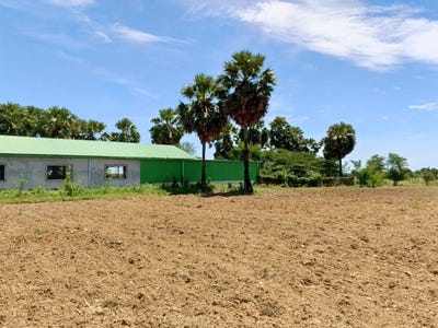 /international/kh/chumpu-proeks-odongk-kampong-speu-360107111141/