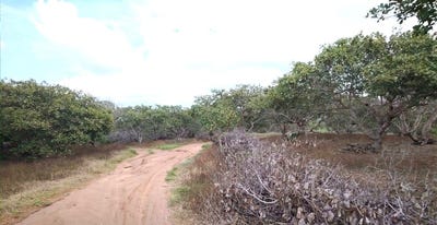 /international/kh/pal-hal-preah-vihea-preah-vihear-360107114047/