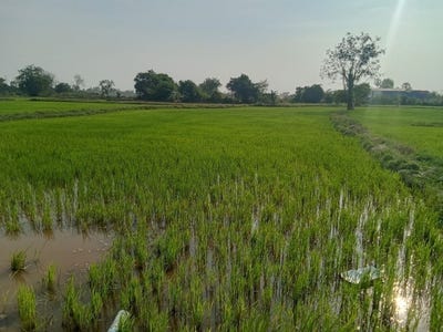 /international/kh/ampov-prey-kandal-stueng-kandal-360107112572/