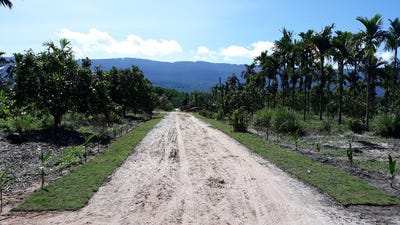 /international/kh/sameakki-prey-nob-sihanoukville-360107103823/