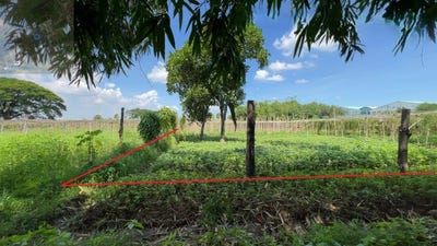 /international/kh/setbou-s-ang-kandal-360107114276/