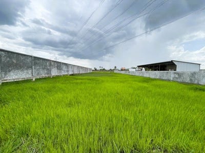 /international/kh/chak-angrae-kraom-meanchey-phnom-penh-360107113694/