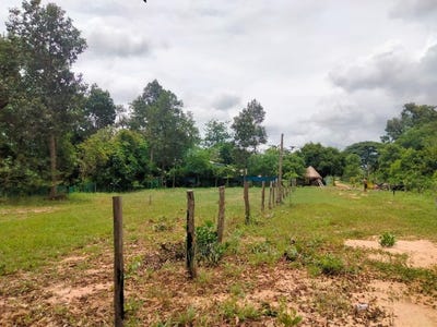/international/kh/peak-sneng-angkor-thum-siem-reap-360107099755/