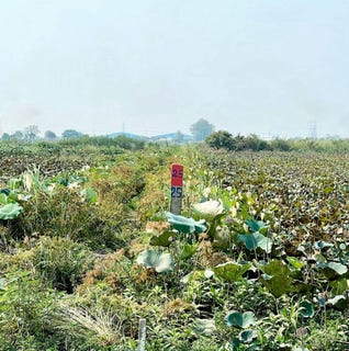 /international/kh/roka-khpos-s-ang-kandal-360107115679/