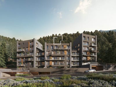 /international/ad/la-massana-la-massana-310105910228/