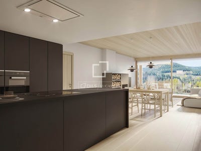 /international/ad/pal-la-massana-310106713459/