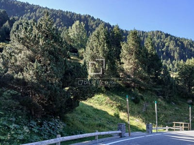 /international/ad/encamp-encamp-310106713567/