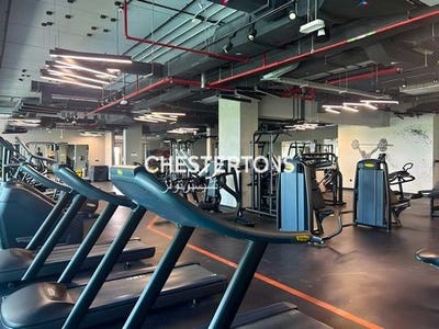 /international/ae/meydan-dubai-uae-dubai-dubai-310100796186/
