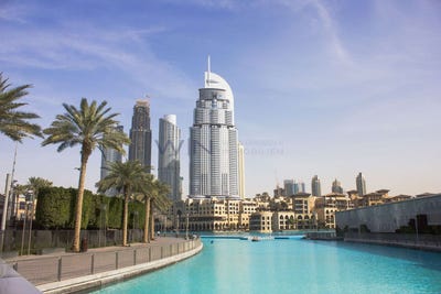 /international/ae/freezone-ali-freezone-ali-310096091484/?lang=zh-cn