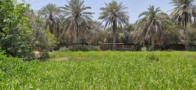 /international/ae/al-manhal-abu-dhabi-310101087304/?lang=it