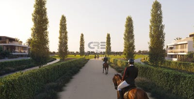 /international/ae/dubai-investment-park-dubai-dubai-310101280675/
