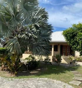 /international/ag/fan-palm-cottage-st-johns-antigua-and-barbuda-crosbies-antigua-310106521158/