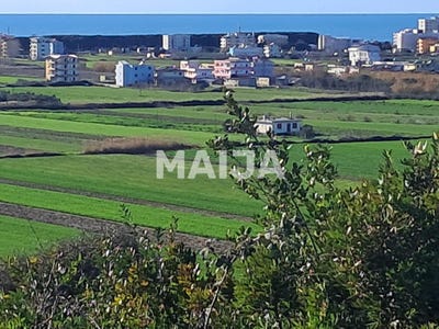 /international/al/rruga-greth-kryevidh-tirana-310107736832/