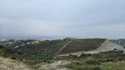 /international/al/durres-durres-310107367190/