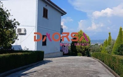 /international/al/durres-durres-310109205579/
