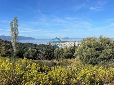 /international/al/vlore-vlore-310104799056/