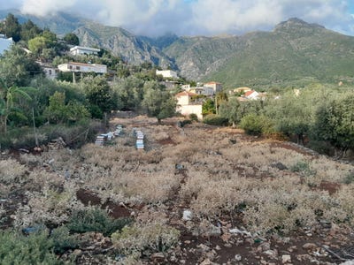 /international/al/ilias-vlore-310104249757/