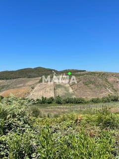 /international/al/rruga-bardhor-karpen-kavaja-tirana-county-310105715788/