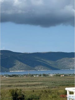 /international/al/vlore-vlore-310105303068/
