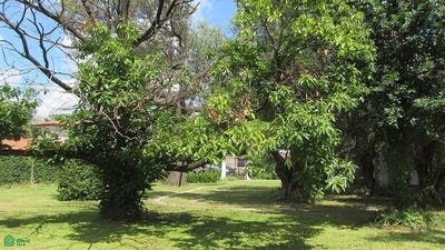 /international/ar/talcahuano-549-paso-del-rey-moreno-gba-oeste-moreno-buenos-aires-310096206782/?lang=zh-tw