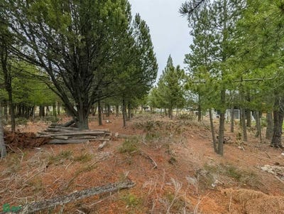 /international/ar/club-de-campo-dos-valles-q-56-san-carlos-de-bariloche-rio-negro-8400-rio-negro-310108867782/