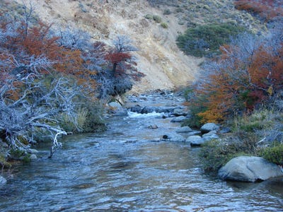 /international/ar/cushamen-cushamen-chubut-province-310100992040/