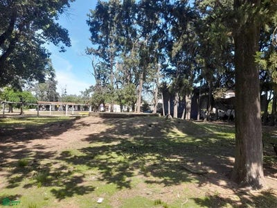 /international/ar/ricardo-rojas-4418-moreno-moreno-gba-oeste-1744-moreno-buenos-aires-310100952084/?lang=zh-cn
