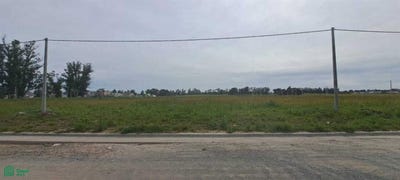 /international/ar/chapaleofu-y-marzoratti-0-tandil-tandil-buenos-aires-fuera-de-gba-7000-tandil-buenos-aires-310100554963/?lang=zh-tw