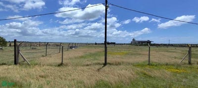 /international/ar/ruta-11-km-8-s-n-berisso-berisso-gba-sur-1900-berisso-buenos-aires-310102743112/