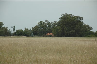 /international/ar/las-flores-buenos-aires-120086689972/