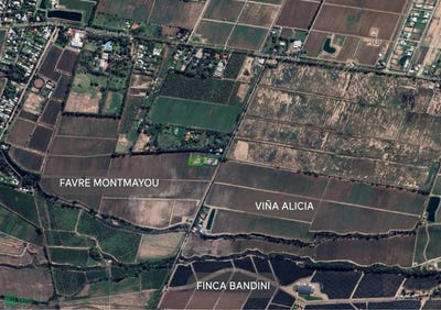 /international/ar/callejon-peralta-s-n-vistalba-mendoza-mendoza-310100556747/