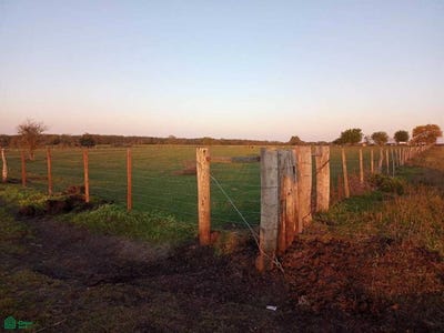 /international/ar/zona-rural-s-n-lucas-norte-entre-rios-3241-entre-rios-310106265225/