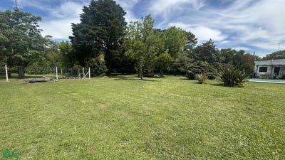 /international/ar/421-e-14-bis-y-15-s-n-villa-elisa-la-plata-gba-sur-310106461198/
