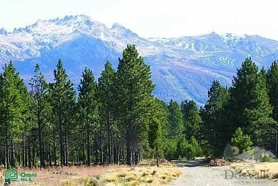 /international/ar/dos-valles-club-de-campo-s-n-san-carlos-de-bariloche-rio-negro-8400-rio-negro-310106779742/