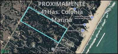 /international/ar/avenida-3-5000-villa-gesell-buenos-aires-costa-atlantica-7165-310107298460/