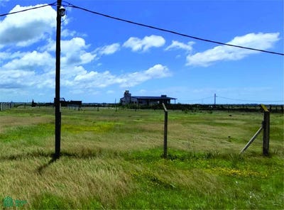 /international/ar/ruta-11-km-8-s-n-berisso-berisso-gba-sur-1900-berisso-buenos-aires-310102743130/