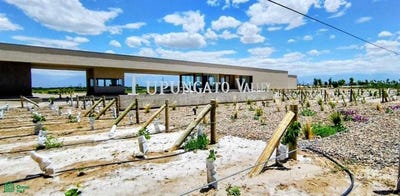 /international/ar/ruta-provincial-88-s-n-tupungato-mendoza-tupungato-mendoza-310107471898/