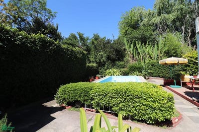 /international/ar/luis-pereyra-1040-tigre-tigre-gba-norte-1648-tigre-buenos-aires-310108673113/