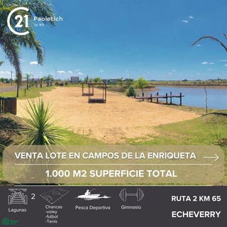 /international/ar/ruta-2-km-65-s-n-brandsen-gba-sur-brandsen-buenos-aires-310100385241/