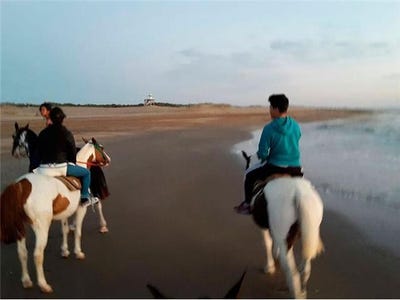 /international/ar/ruta-11-km-al-300-pinamar-buenos-aires-120094832989/
