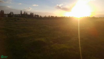 /international/ar/cornelio-saavedra-s-n-san-rafael-mendoza-san-rafael-mendoza-310108186029/