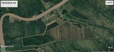 /international/ar/rio-parana-mini-s-n-san-fernando-gba-norte-1649-san-fernando-buenos-aires-310108114171/