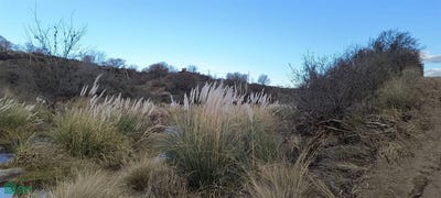 /international/ar/publica-0-bialet-masse-cordoba-cordoba-310109125907/