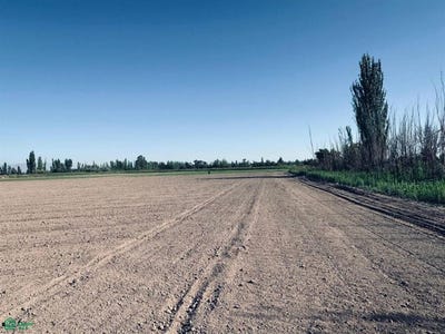 /international/ar/montenegro-sin-numero-lavalle-mendoza-lavalle-mendoza-310106991442/