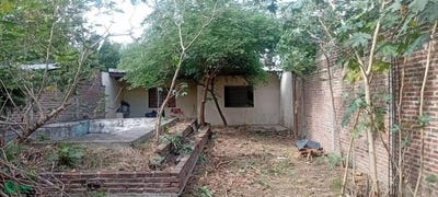 /international/ar/de-la-cruz-170-remedios-de-escalada-lanus-gba-sur-lanus-buenos-aires-310108841406/