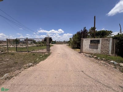 /international/ar/callejon-villa-nueva-0-perdriel-mendoza-5544-mendoza-310108309037/